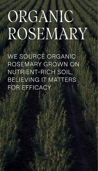 Organic rosemary : we source organic rosemary grown on nutrient-rich soil, believing it matters for efficacy.