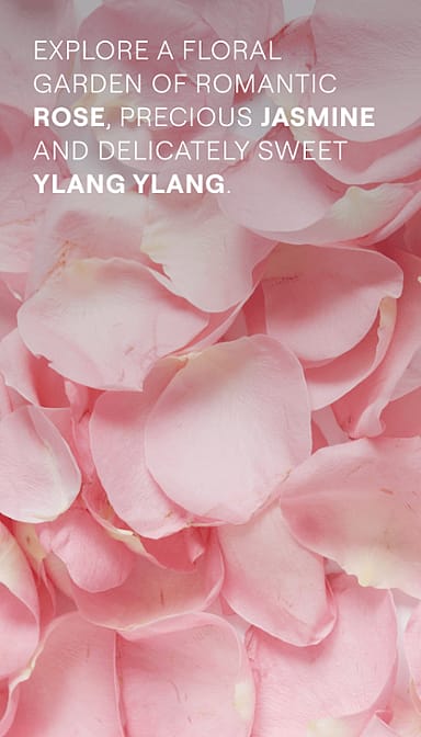 Rose petals. Explore a floral garden of romantic rose, precious jasine and delicately sweet ylang ylang.