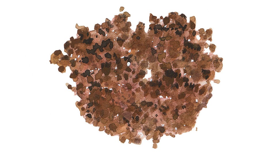 Iron Oxides (CI 77492)