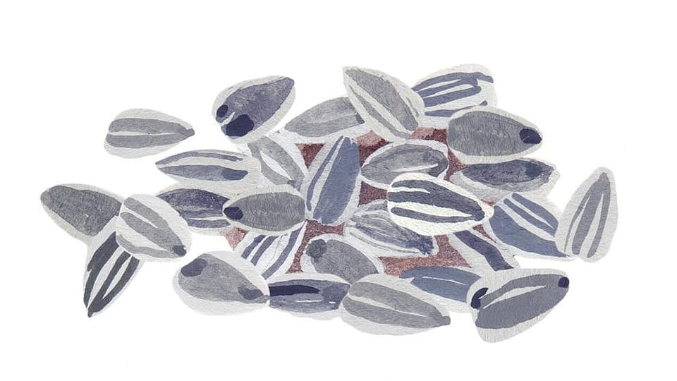 Helianthus Annuus (Sunflower) Seed Wax