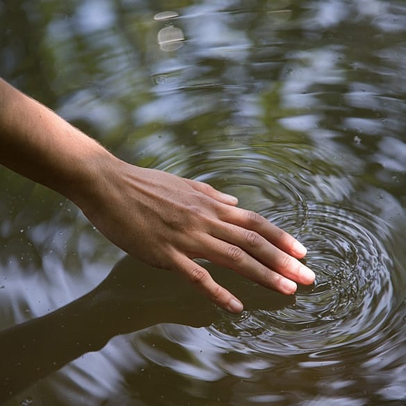 Hands