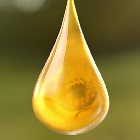 Oil
