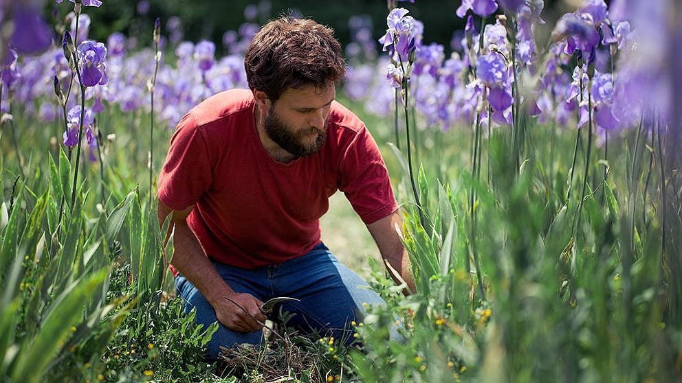 gardener in field